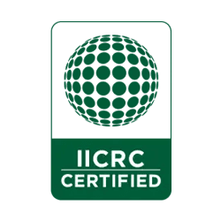 Logo of IICRC Certified Emergency Restoration, featuring a stylized green globe made of connected shapes on a dark background, with "IICRC Certified Emergency Restoration" text in white on a green banner