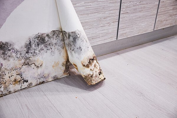 Mold growth on the lower part of a white wall meeting the flooring, showing visible damage and discoloration near a wooden cabinet, necessitating emergency restoration.